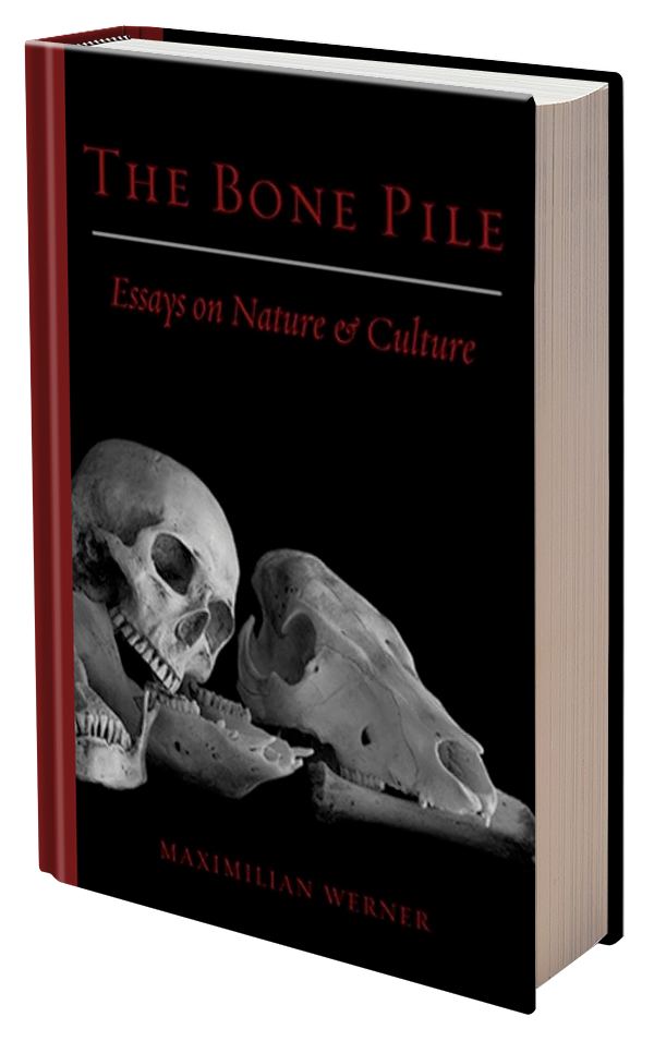 The Bone Pile